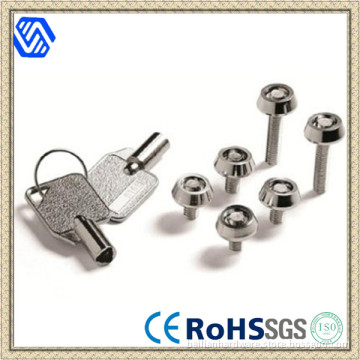 High Security, Anti-Theft Screw